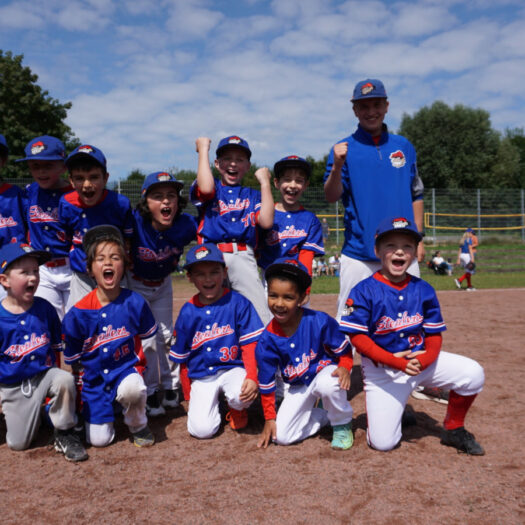 Stealers Baseball Tee Ball