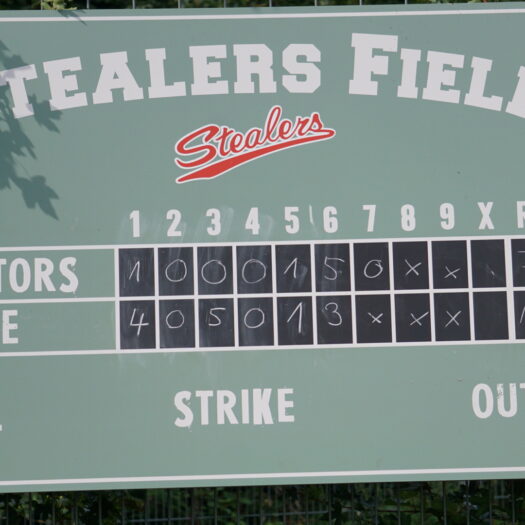 Hamburg Stealers Baseball Nachwuchs