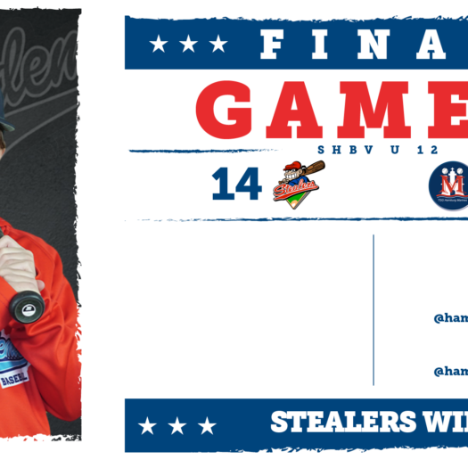 u12 baseball hamburg stealers