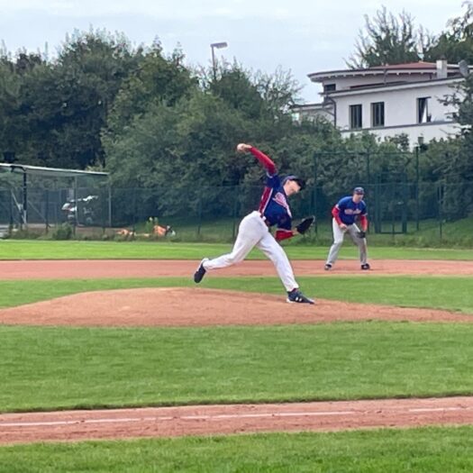 STEALERS 3 VS.ELMSHORN