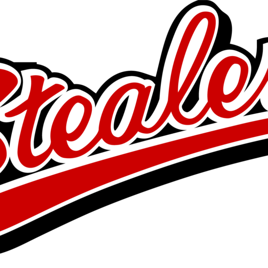 BaseballclubHamburg Stealers