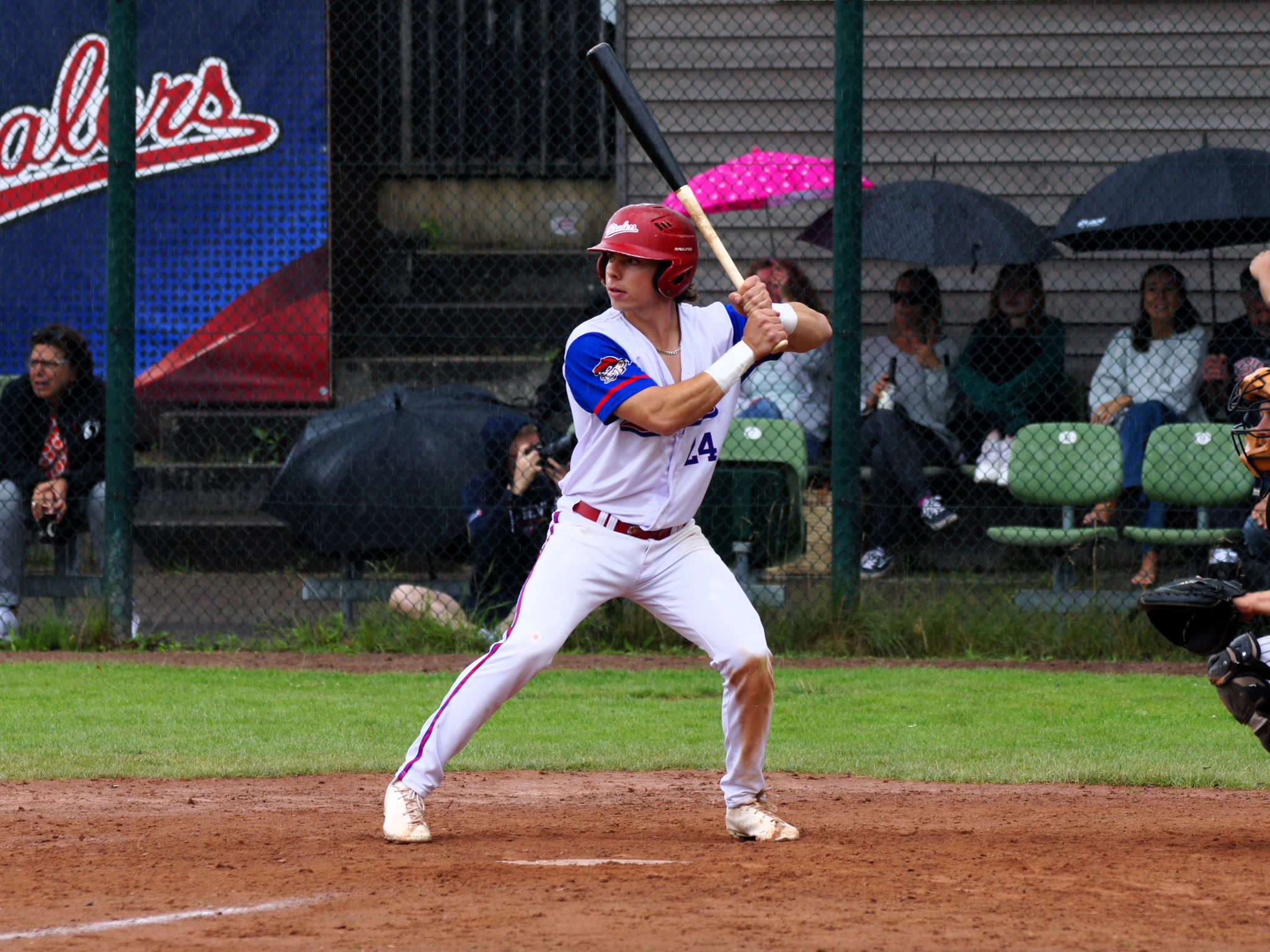 c01d3ed9-a471-4fe5-8e11-3f48f726af5c